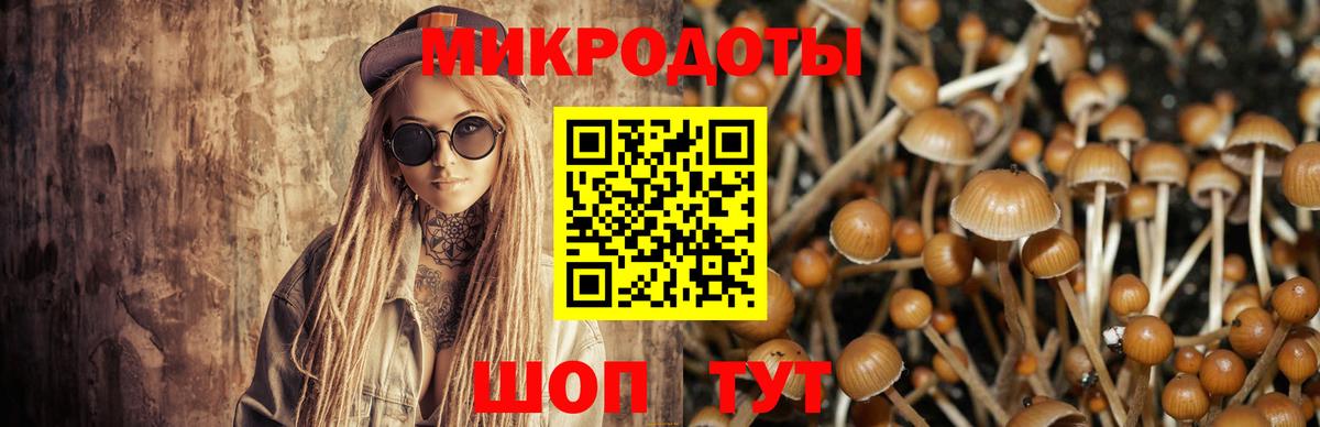 Саров  Псилоцибиновые грибы Cubensis  Вход с VPN 
